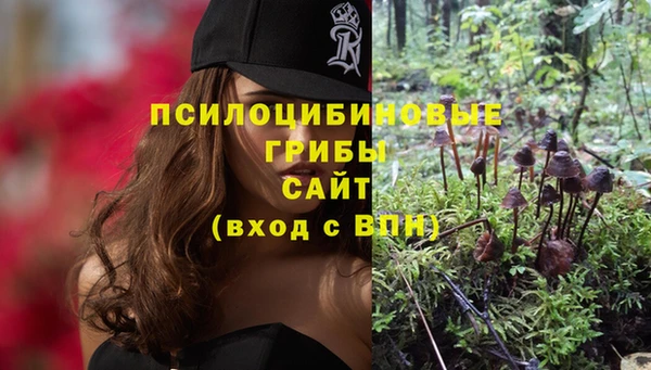 ПСИЛОЦИБИНОВЫЕ ГРИБЫ Майский